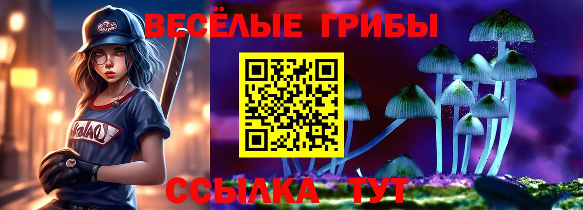 Галлюциногенные грибы Psilocybine cubensis  Вход с VPN  Нефтекумск  Псилоцибиновые грибы ЛСД 